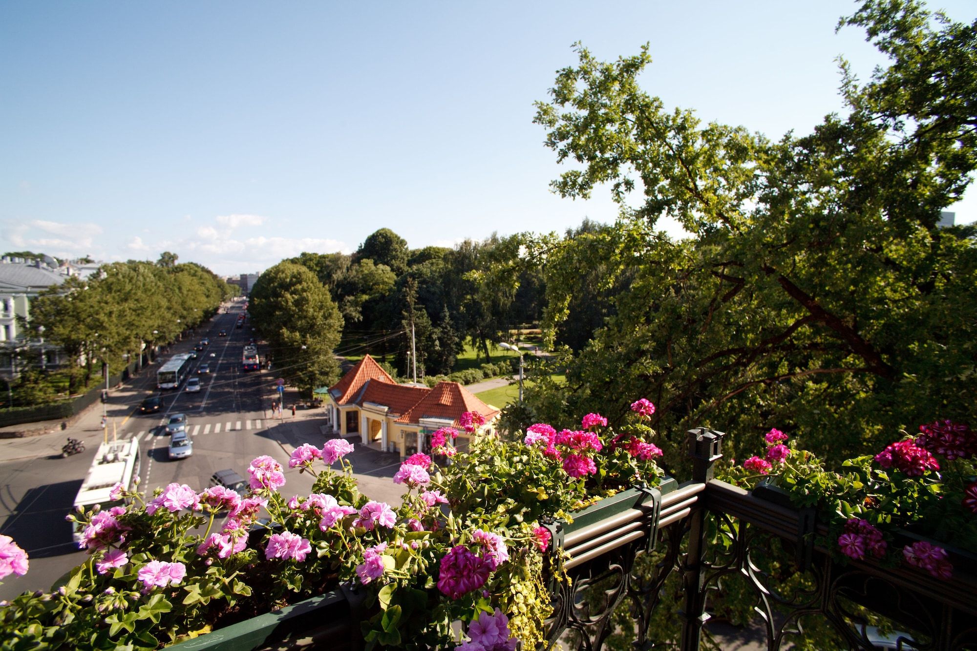 Outdoor view