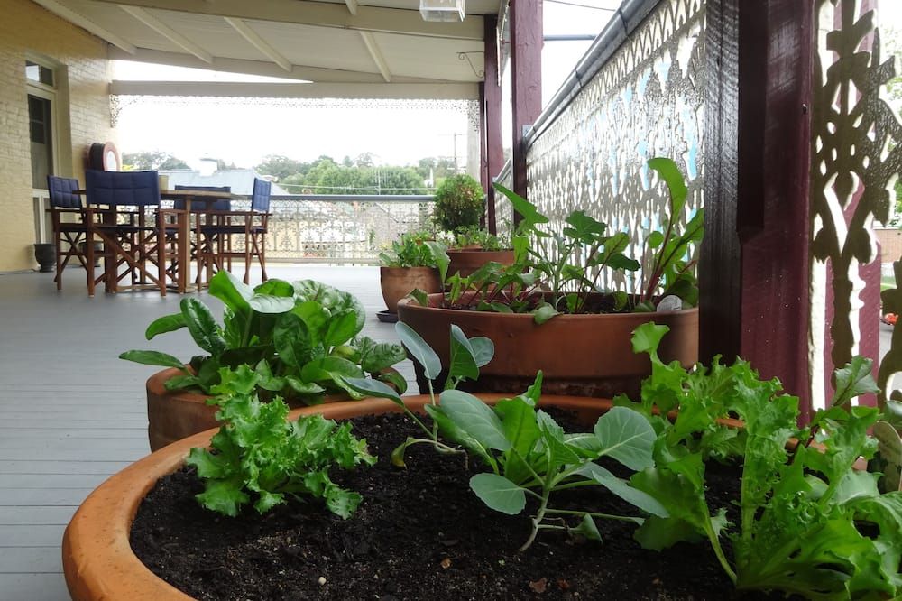 Patio