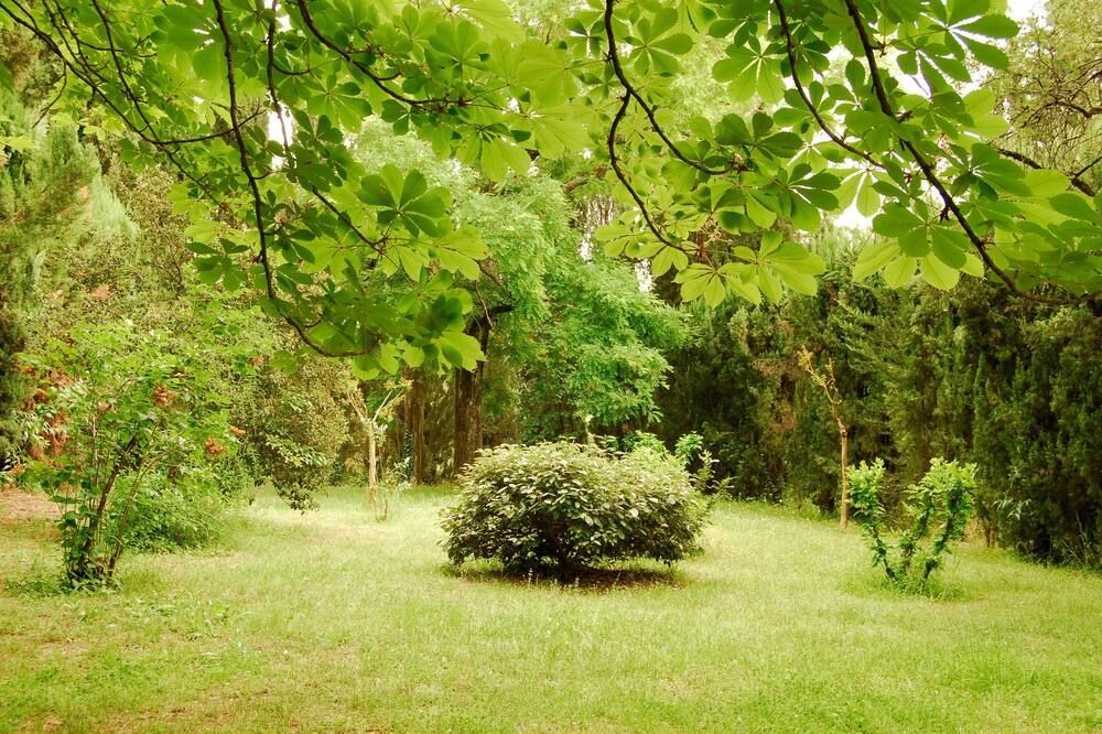 Outdoor view