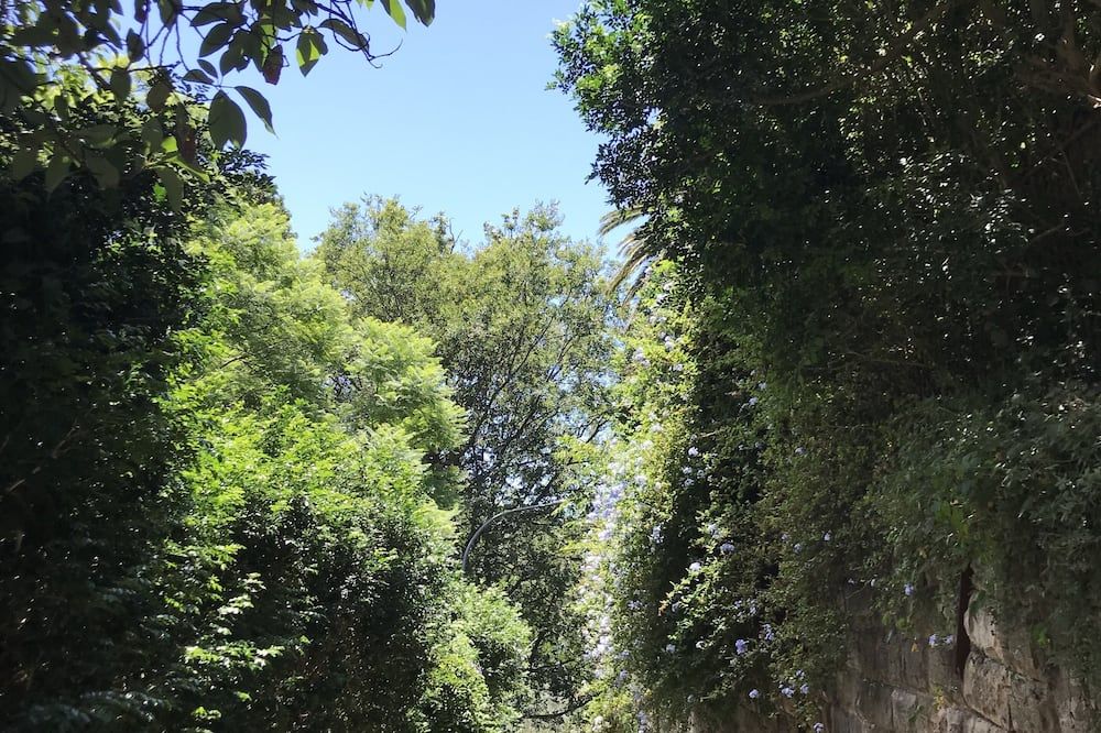 Outdoor view