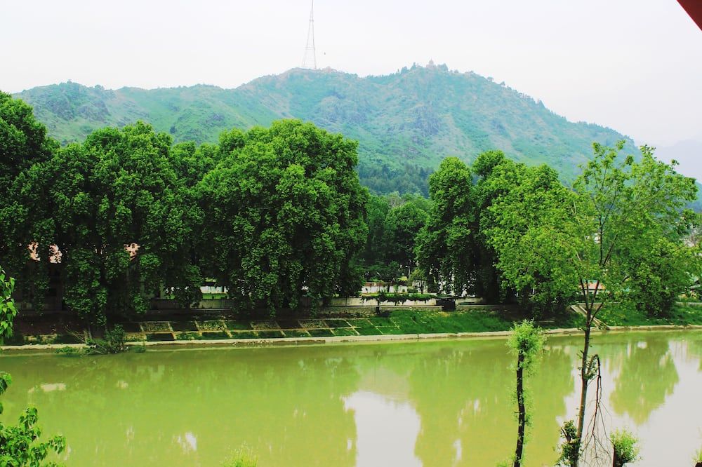 Outdoor view