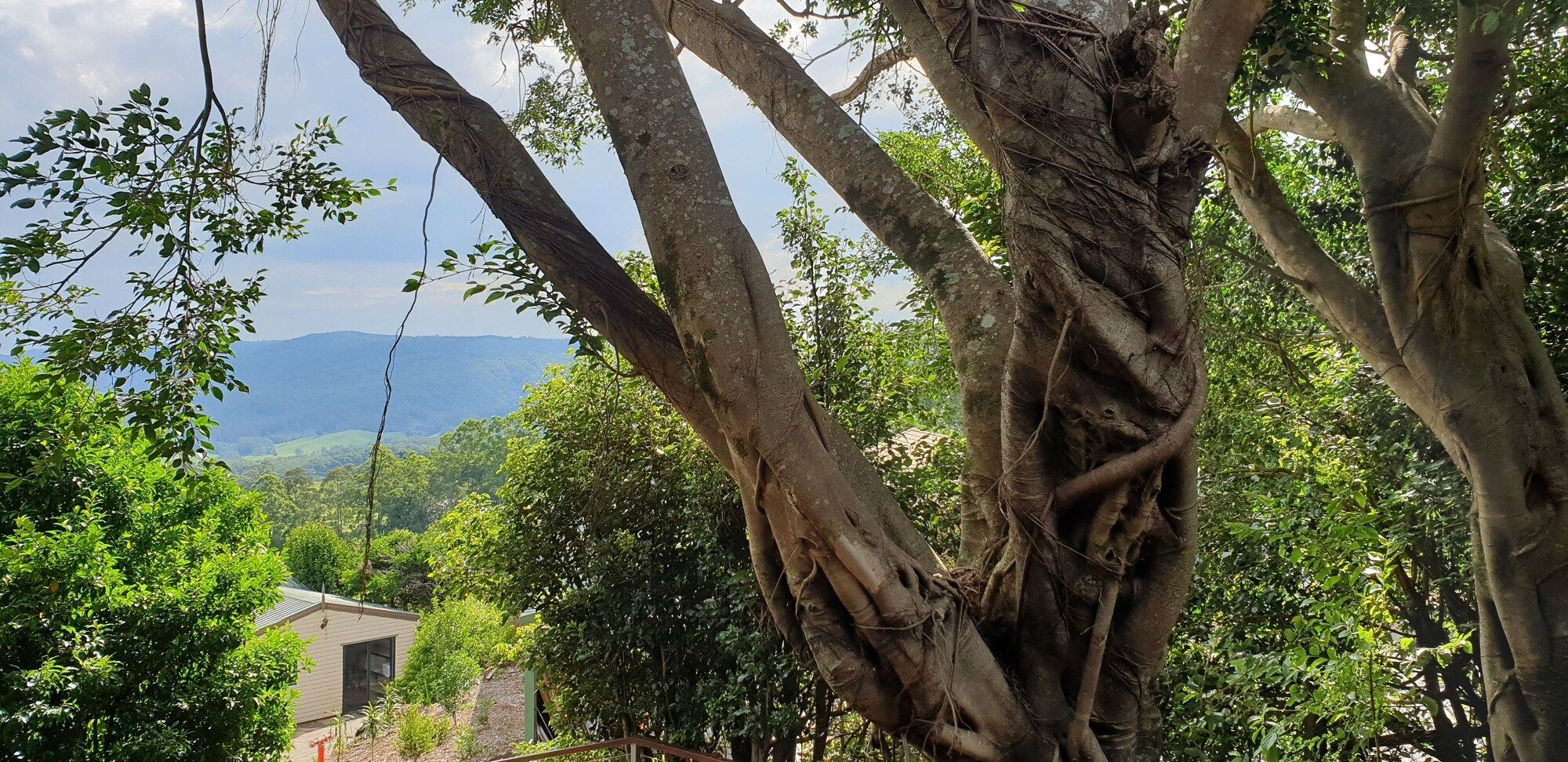 Outdoor view