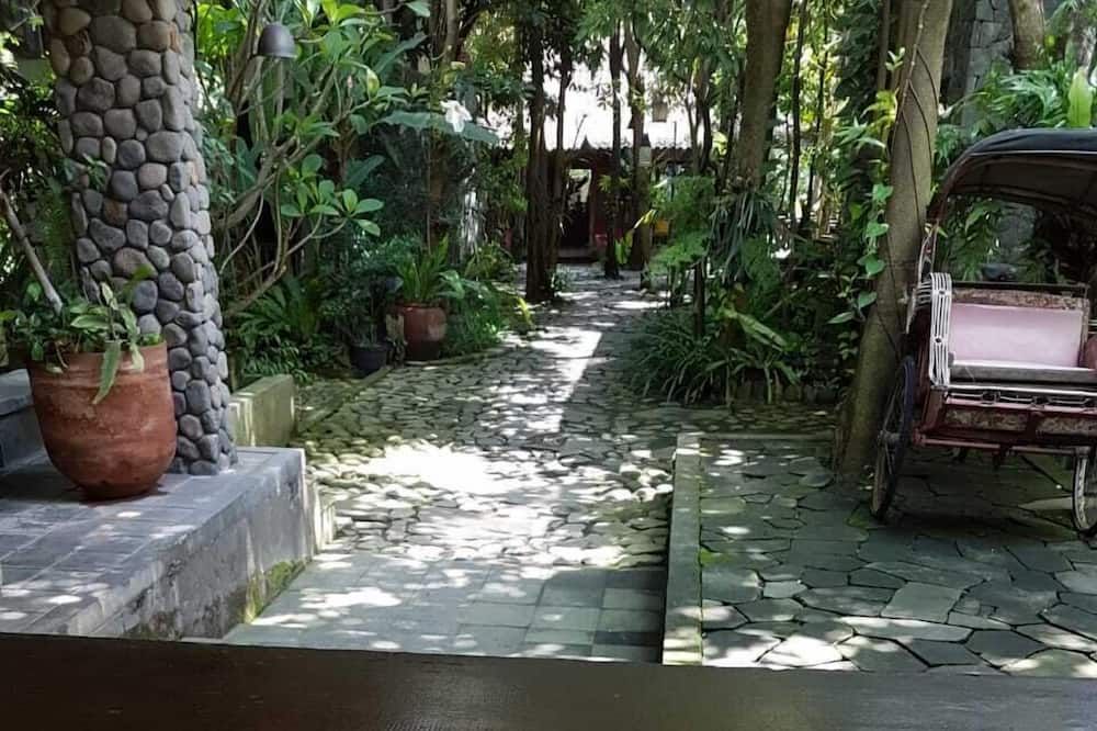 Outdoor view
