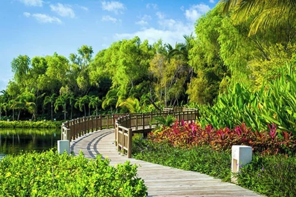 Outdoor view