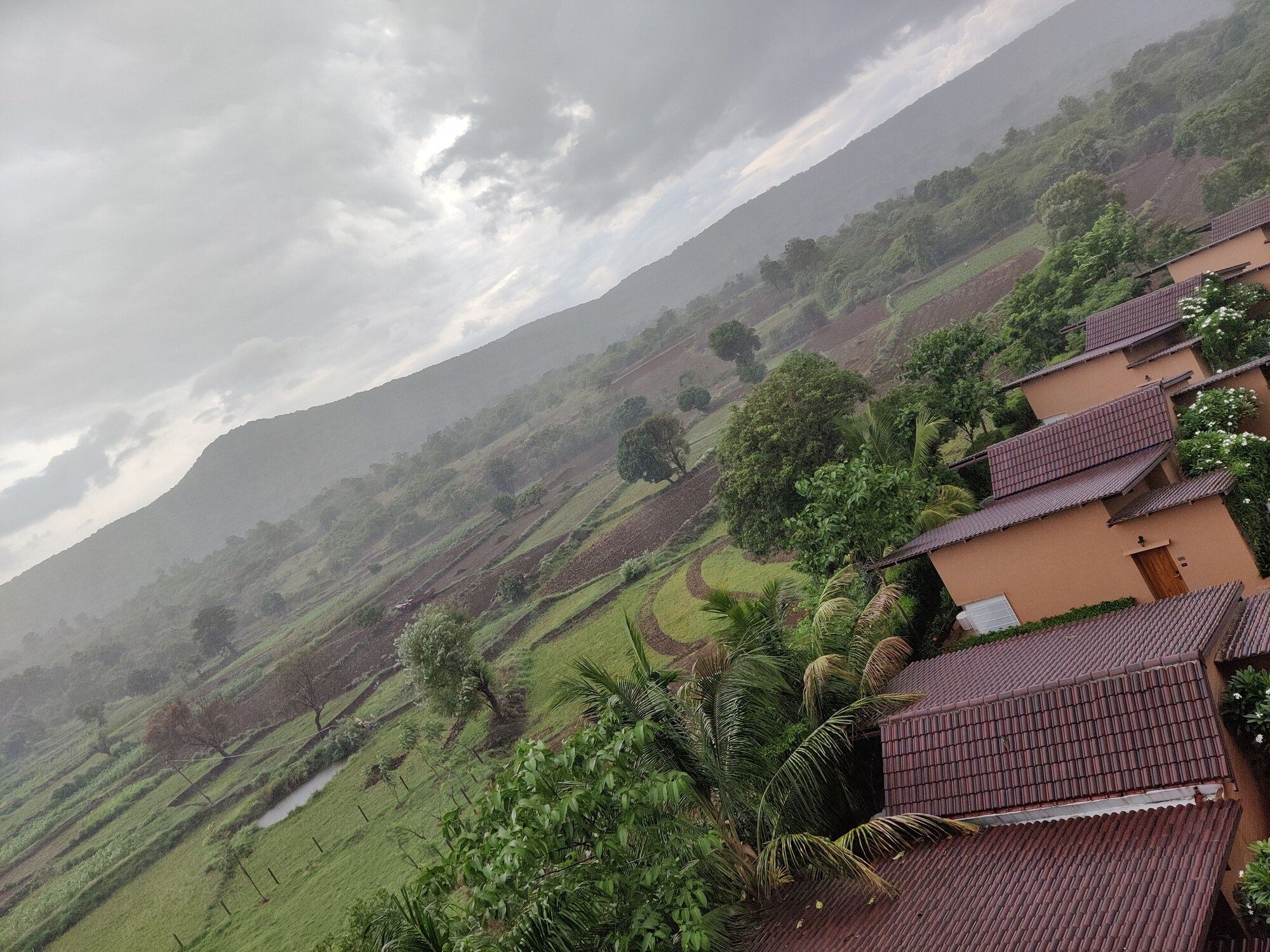 Outdoor view