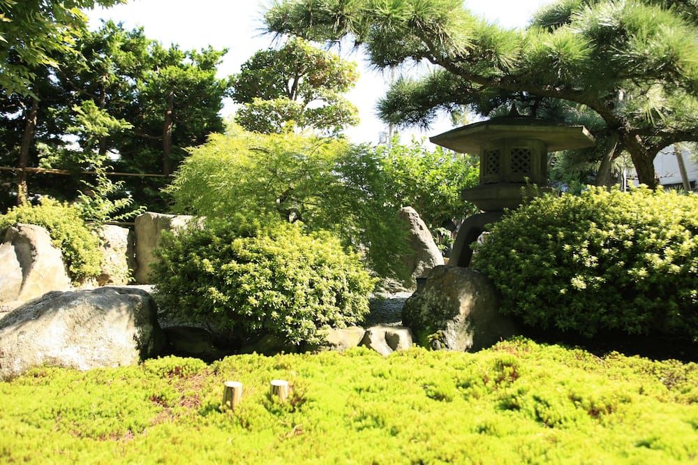 Outdoor view