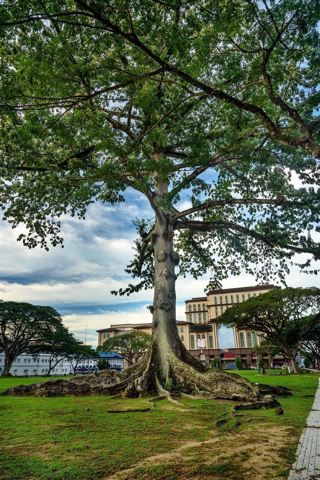 Outdoor view