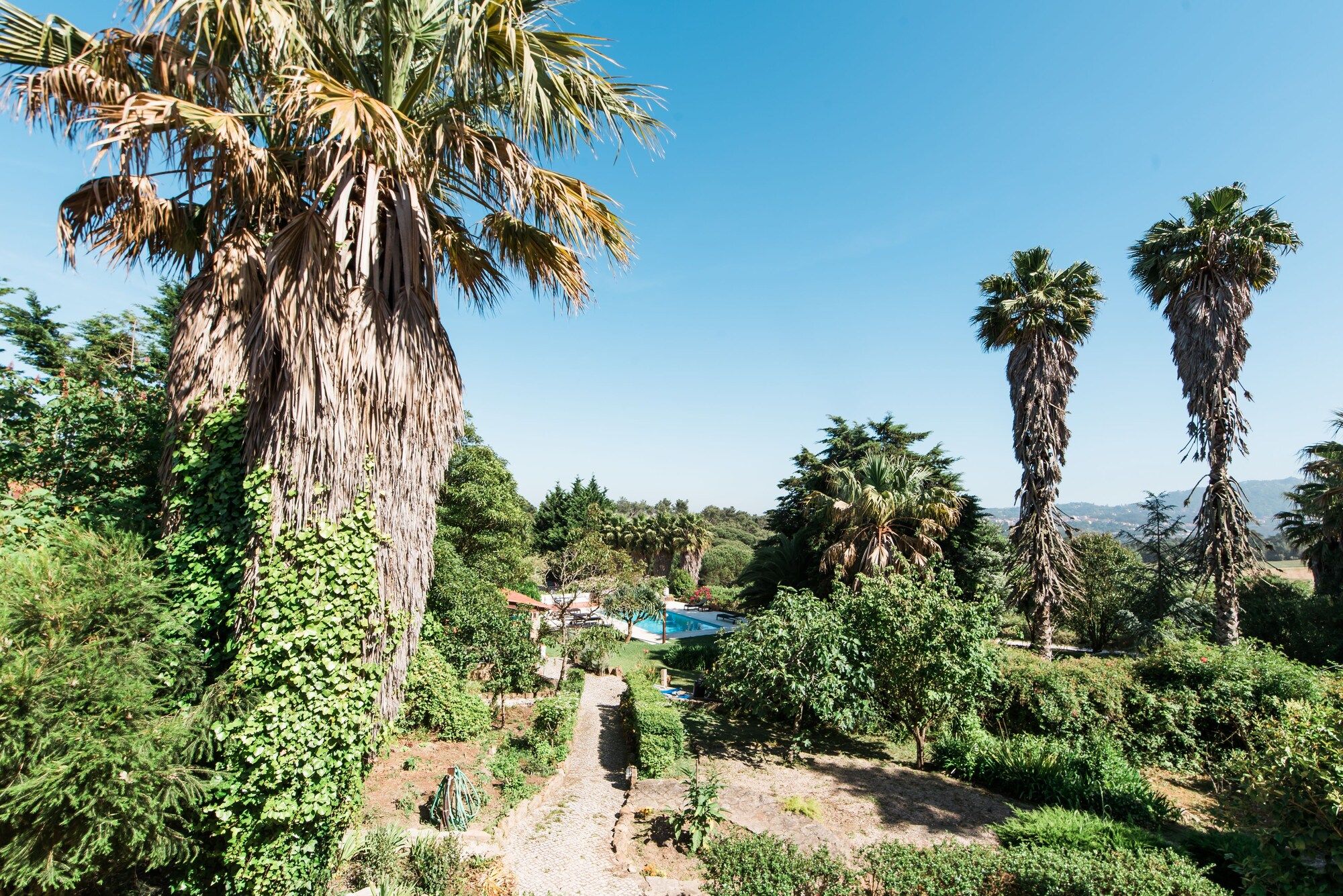 Outdoor view