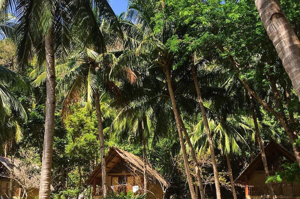 Outdoor view