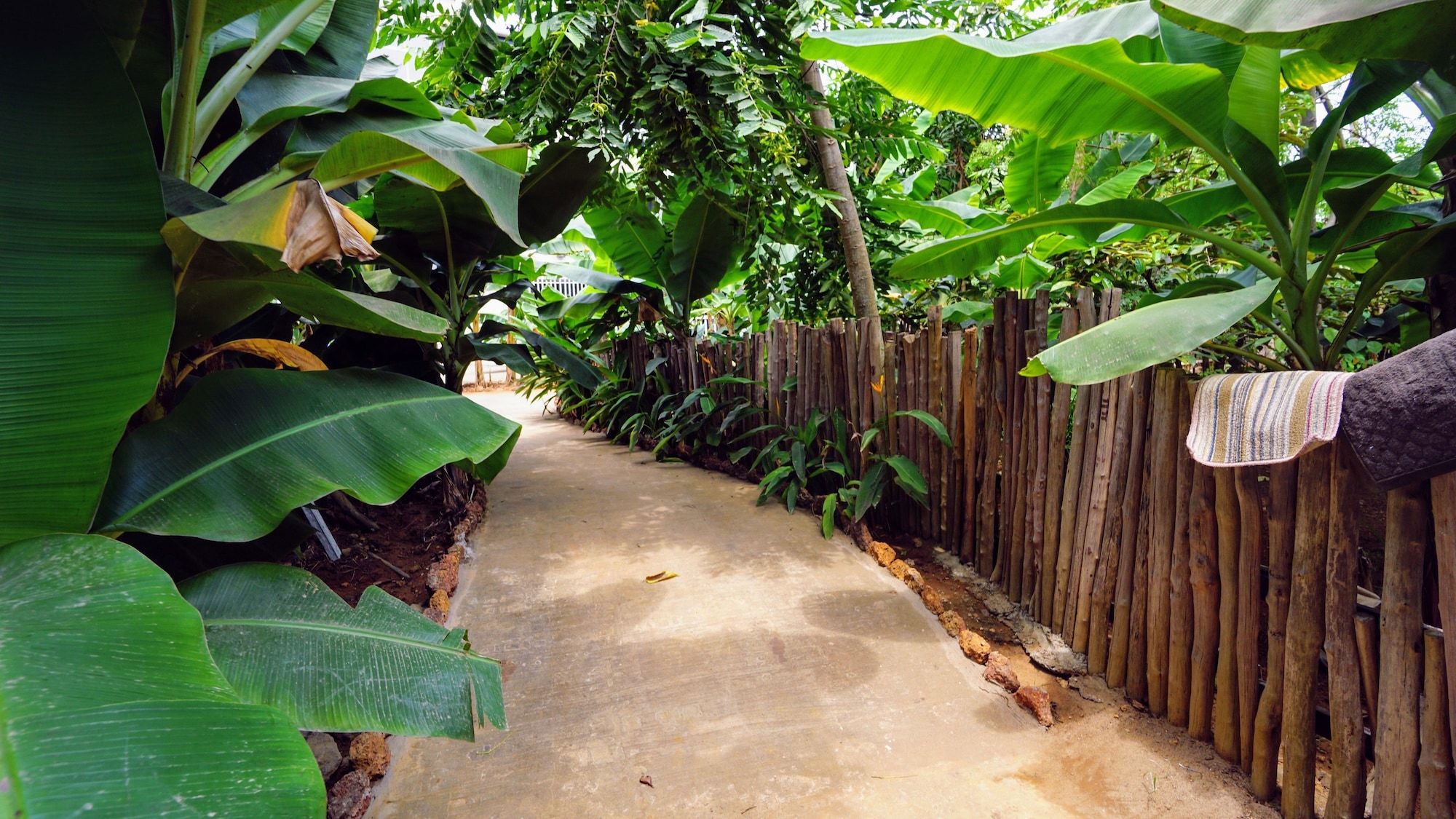 Outdoor view