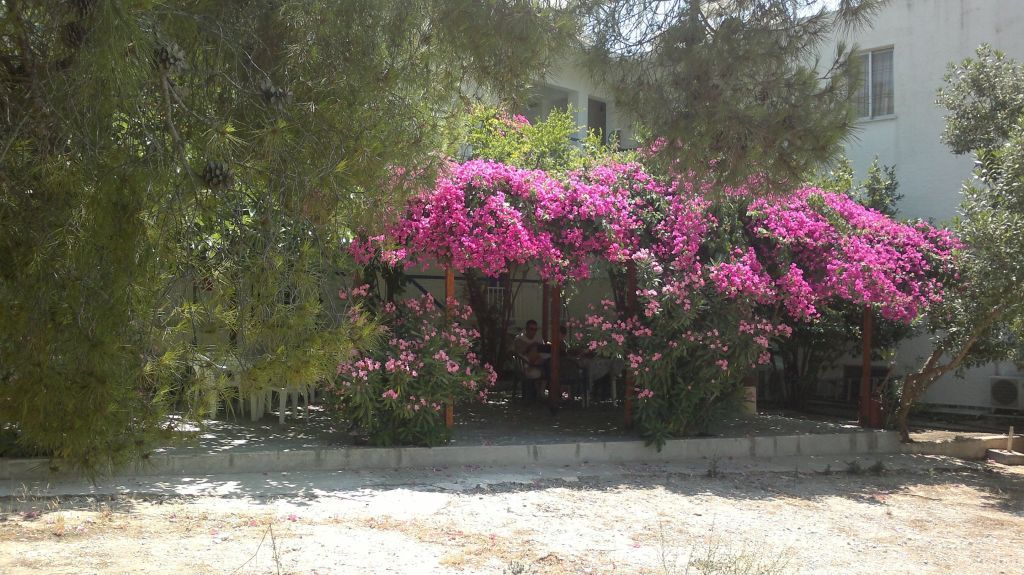 Outdoor view
