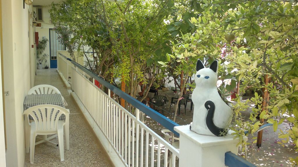 Outdoor view