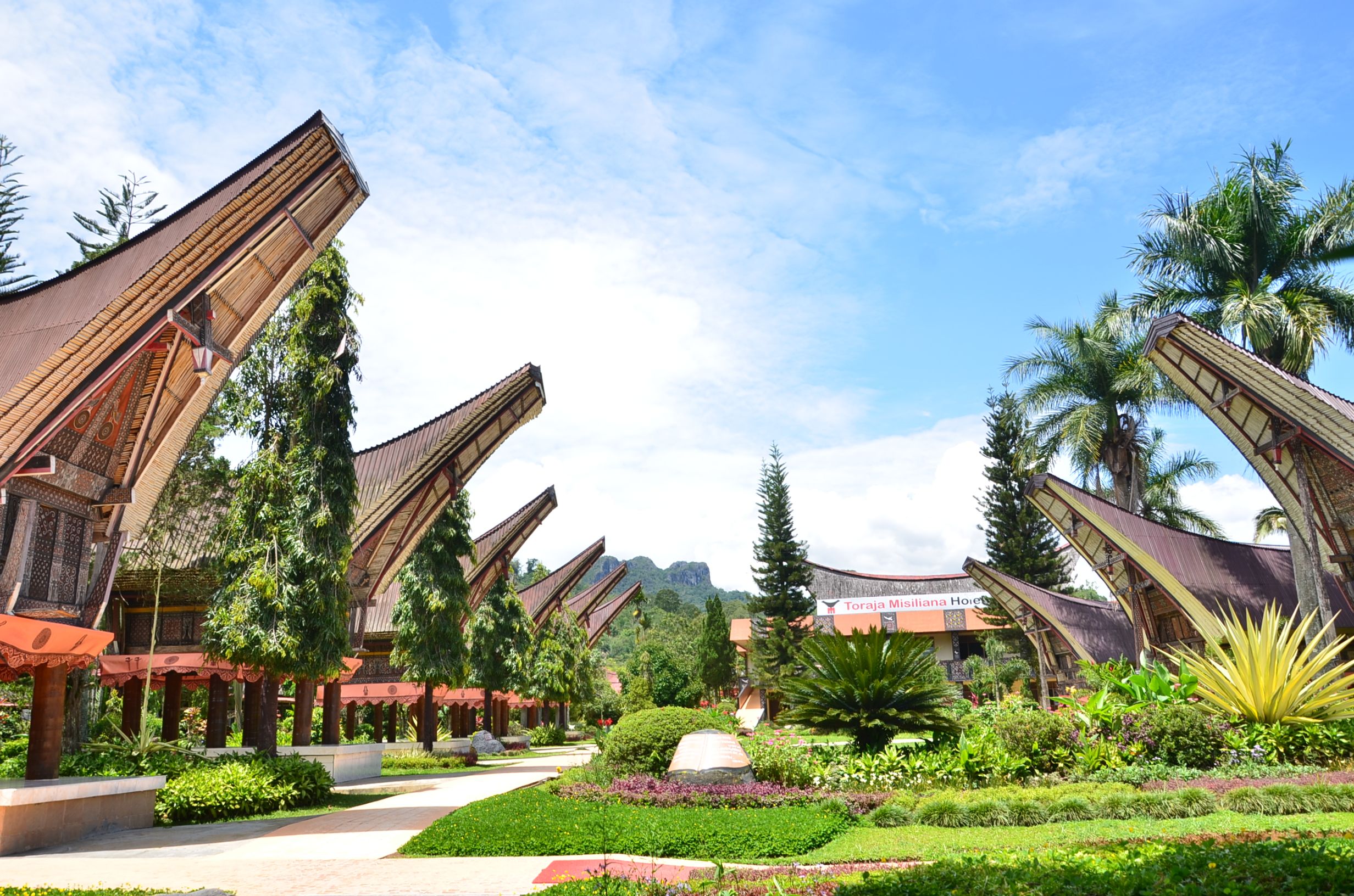 Outdoor view
