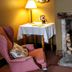 Hotel amenity