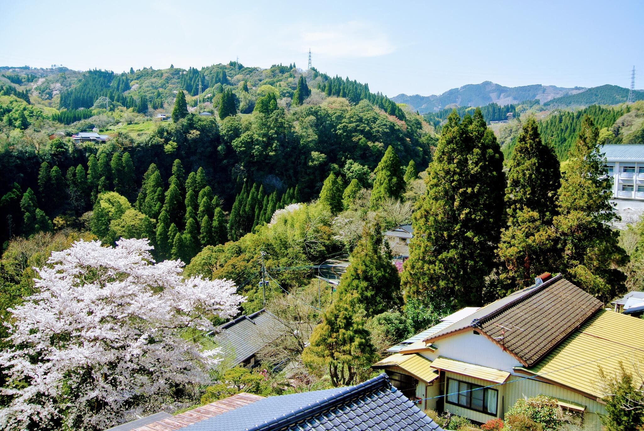 Outdoor view